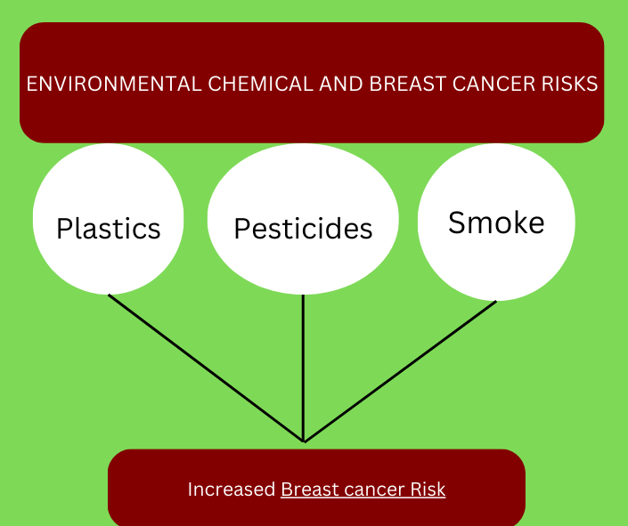 Environmental chemical and breast cancer risk